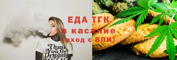 шишки Каменногорск