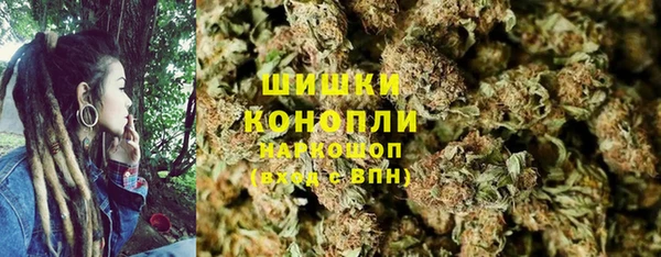 шишки Каменногорск
