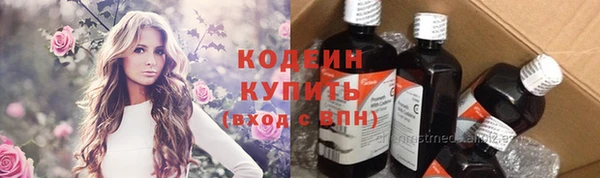 шишки Каменногорск