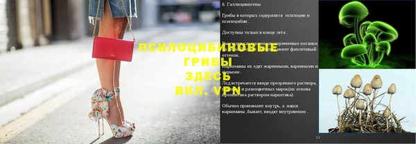 скорость Каменка