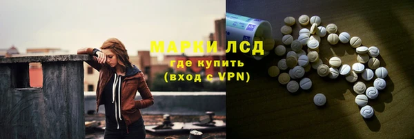 шишки Каменногорск