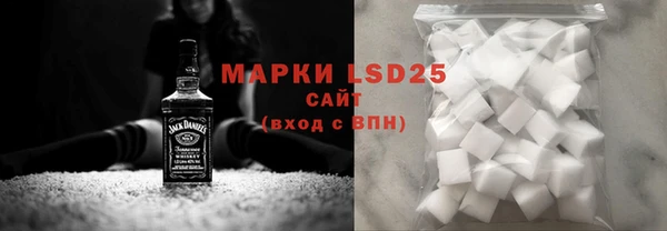 шишки Каменногорск