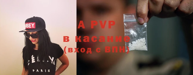 шишки Каменногорск
