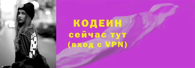 скорость Каменка
