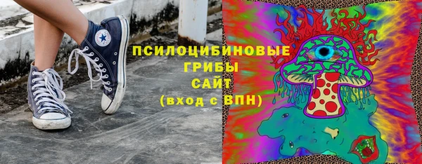 скорость Каменка