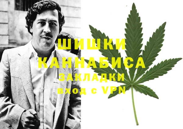 скорость Каменка