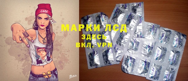 скорость Каменка