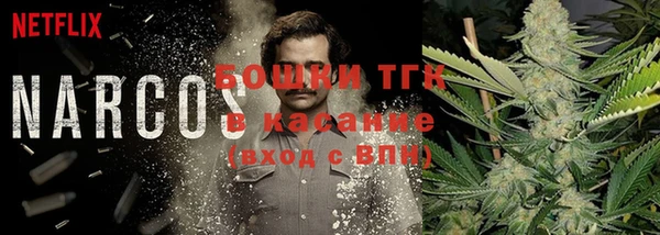 шишки Каменногорск