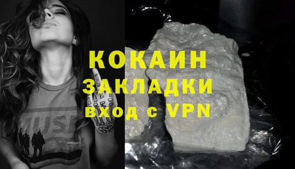 шишки Каменногорск
