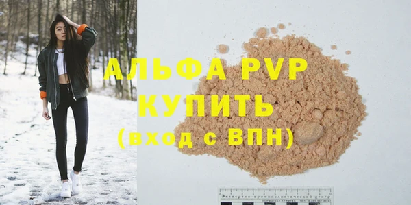 скорость Каменка