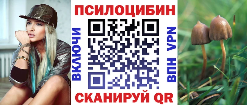Купить где  Бугуруслан  Псилоцибиновые грибы Psilocybe 